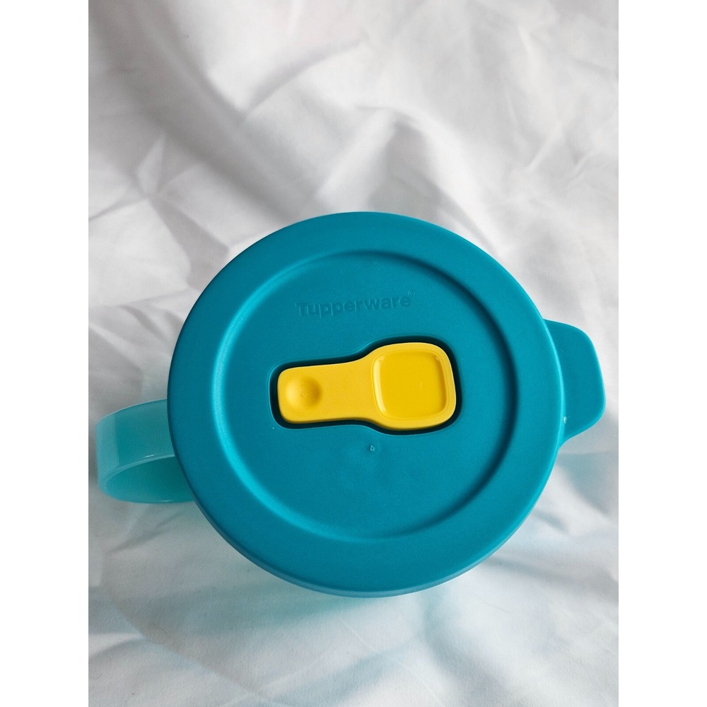 Tupperware Vent N Serve Microwaveable Divided Container‎ Peacock Blue EUC Handle